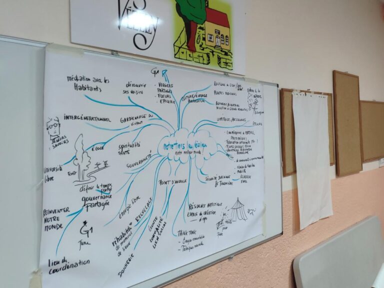 Mind mapping des idées de membres d'un collectif alternatif sur l'avenir et la raison d'être de leur groupe .