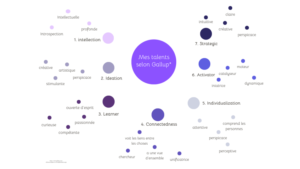 infographie des talents selon gallup de Florence Rigneau